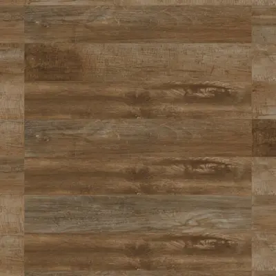VIBE QUERCIA