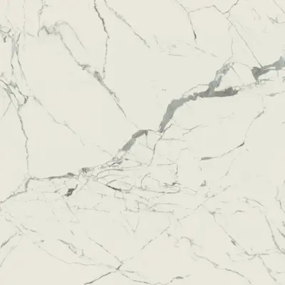 STATUARIO VENATO