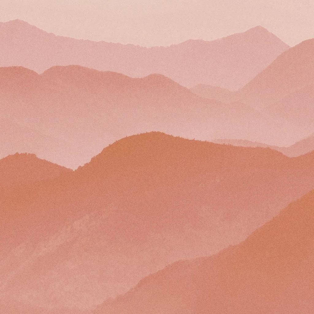 LANDSCAPE CORAL