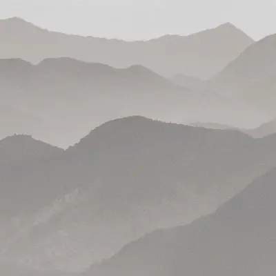 LANDSCAPE GREY