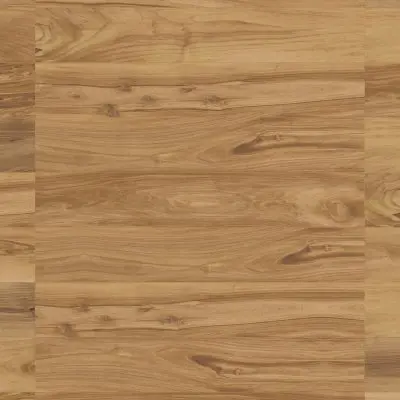 EVOKE BEIGE 20x120 (8"x48")