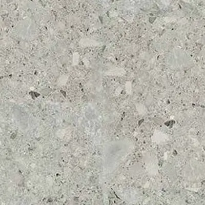 Timeless 10B2055