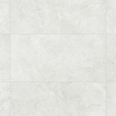 FREELAND WHITE MATE 60x120 SL RC