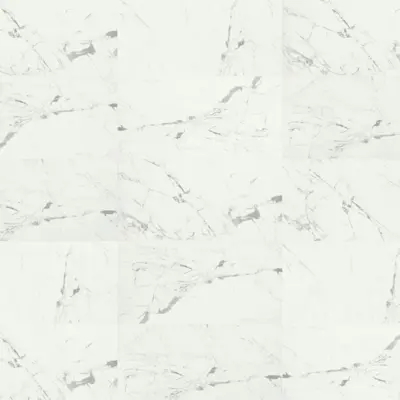 STATUARIO VENATO
