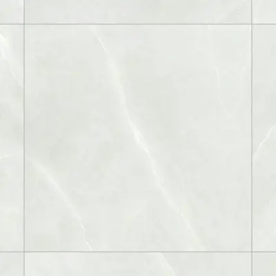 PARADISE  WHITE MATE 120x120 SL RC