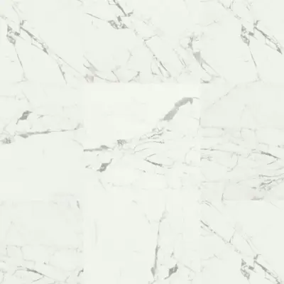 STATUARIO VENATO