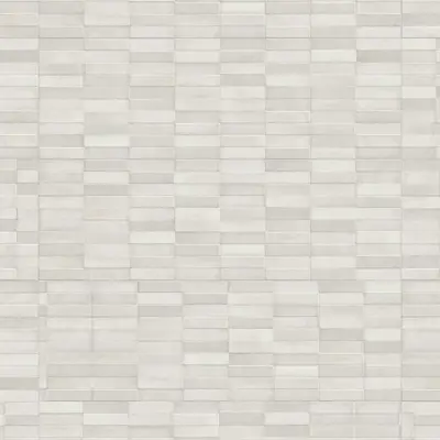 DASTER WHITE MATE 40x120 RC