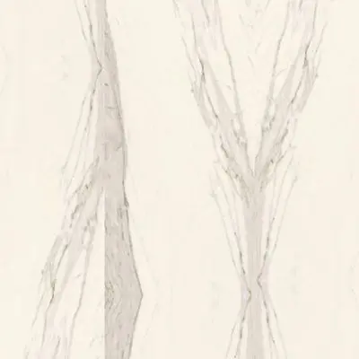 Calacatta Beige