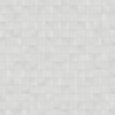 ZELLIGE WHITE BRILLO 10x10