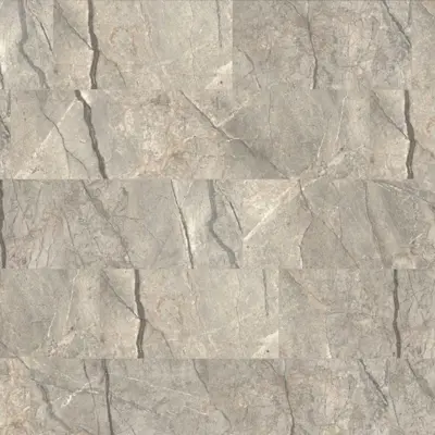 ANIMA FUTURA AMAZING SILVER