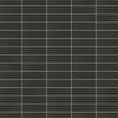 GARE ANTHRACITE BRILLO 10x30,5