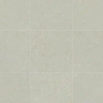 MYTOS BONE MATE 60X60 SL RC BRUSHED