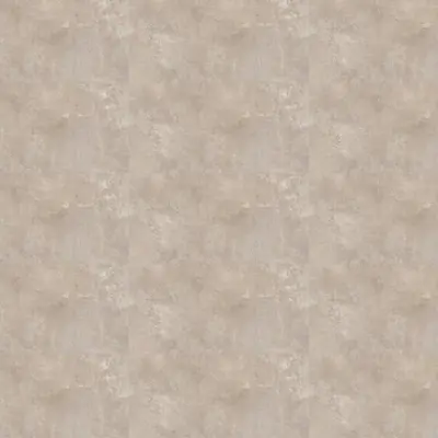 FIND DOVE