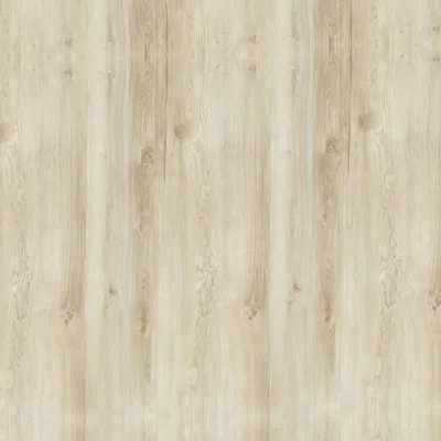 Bamboo