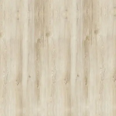 Bamboo