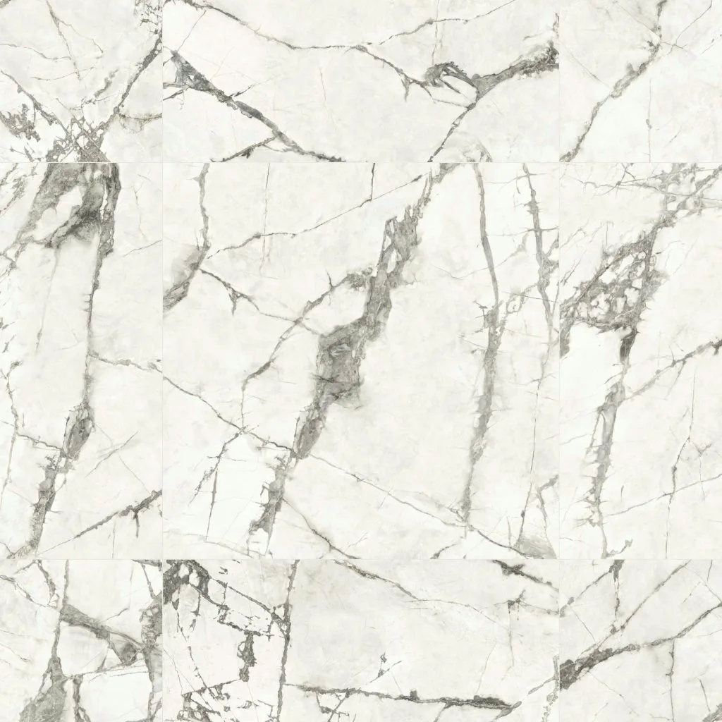 ANIMA EVER MAGNIFICENT WHITE