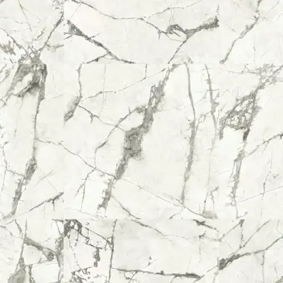 ANIMA EVER MAGNIFICENT WHITE