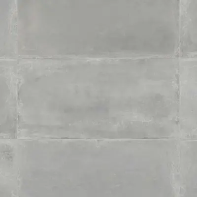 INDUSTRIAL SILVER MATE 60x120 SL RC