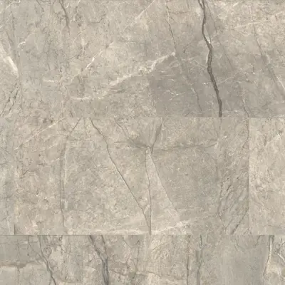 ANIMA FUTURA AMAZING SILVER