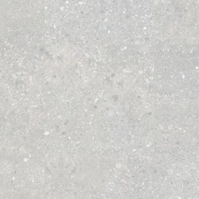 NORR RR01 VIT