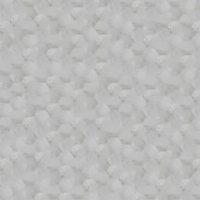 ARGENT HEXAGON 3D