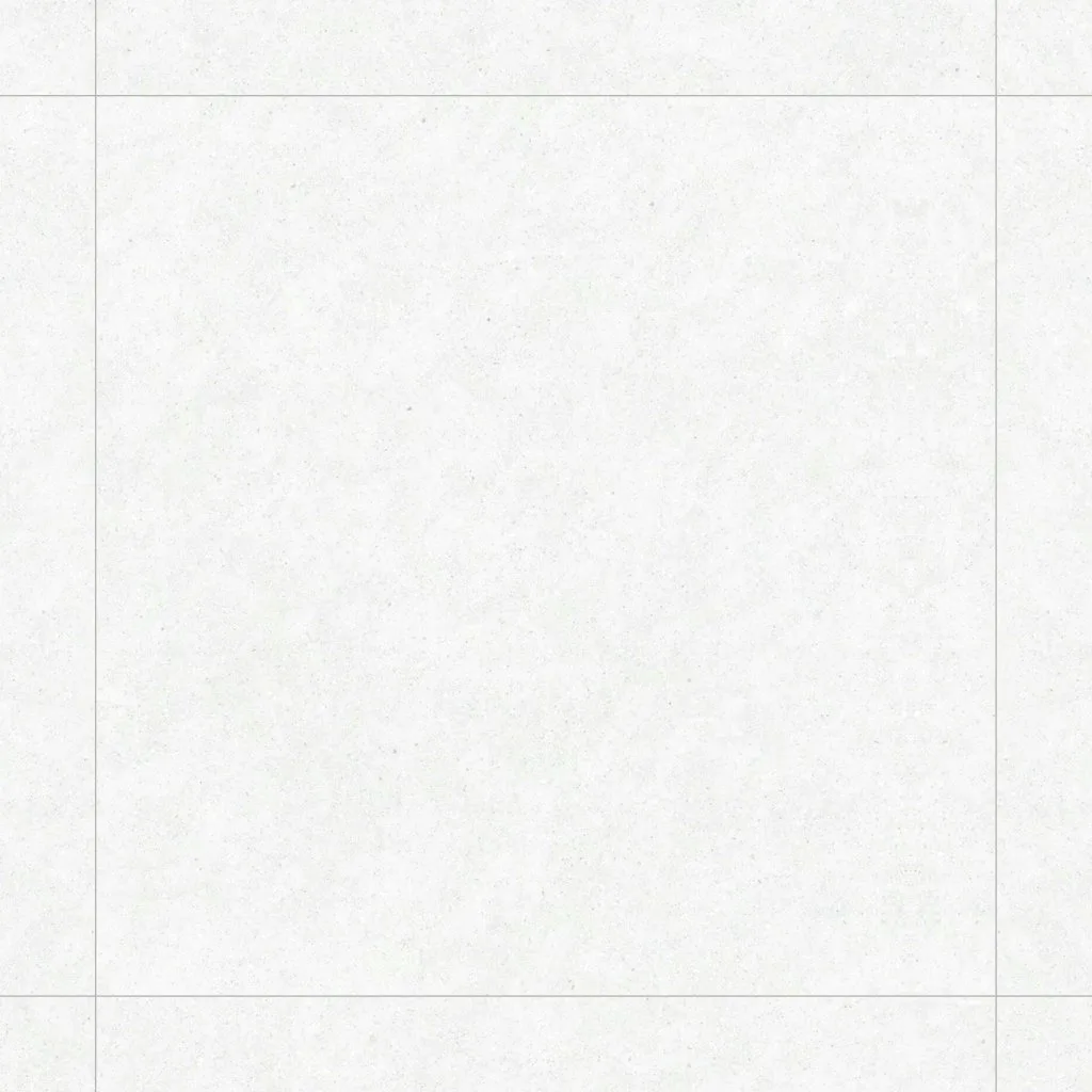 GRANITE WHITE MATE 120x120 SL RC