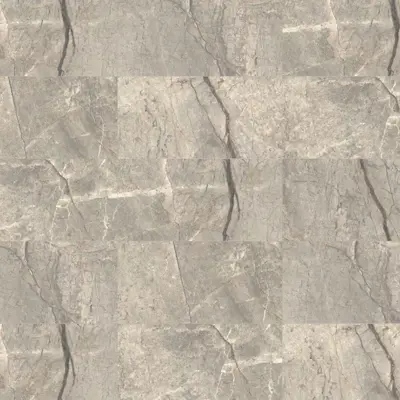 ANIMA FUTURA AMAZING SILVER