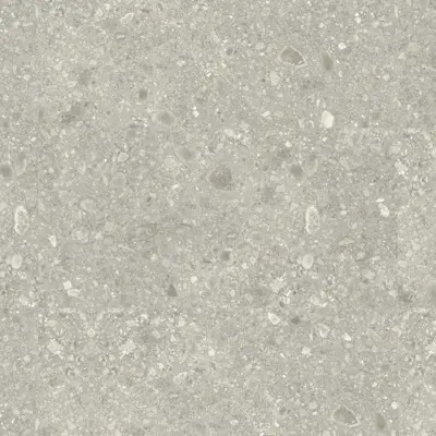 NORR RR01 VIT