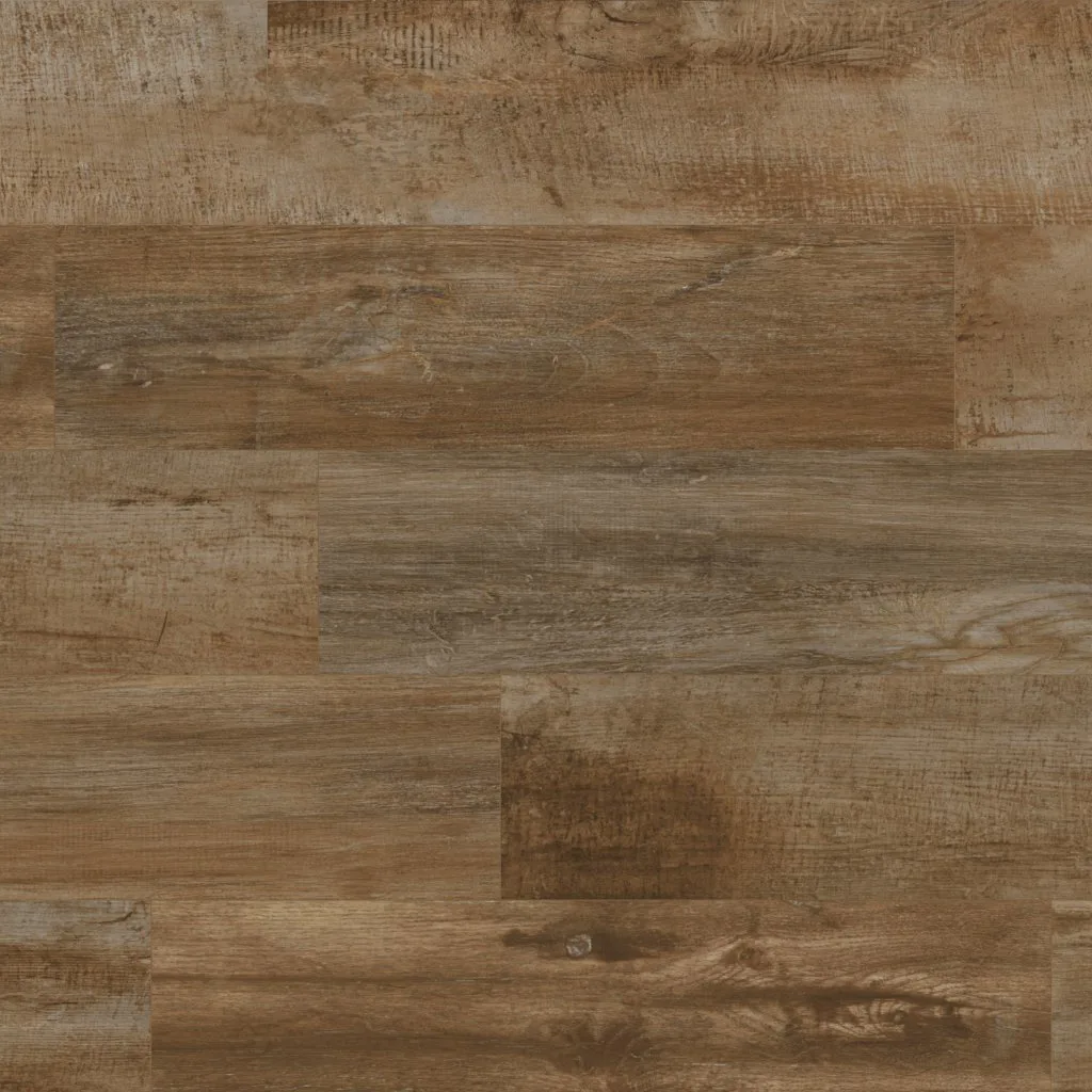 VIBE QUERCIA