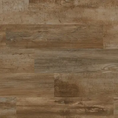 VIBE QUERCIA