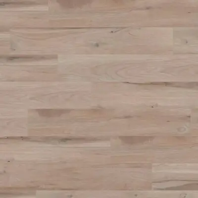 Avana