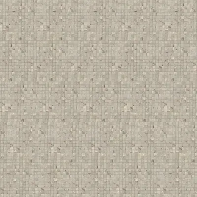 ANIMA FUTURA AMAZING SILVER
