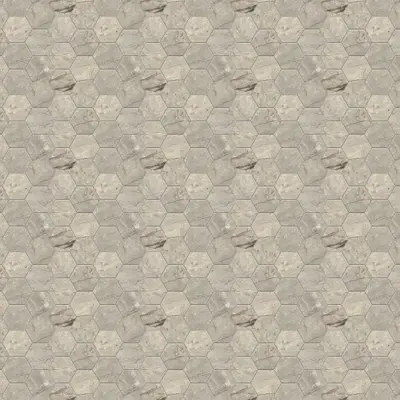 ANIMA FUTURA AMAZING SILVER