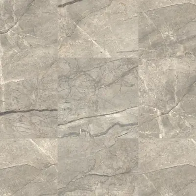 ANIMA FUTURA AMAZING SILVER