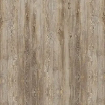 Cinnamon