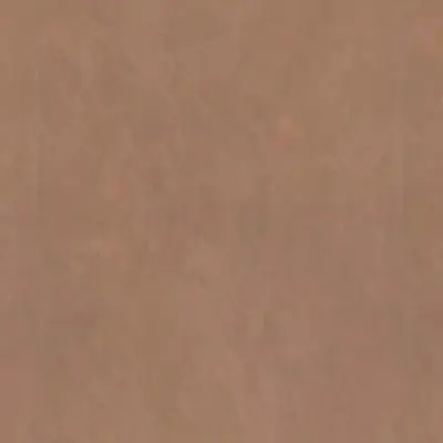 SPICE