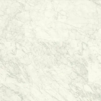 ANIMA EVER SUPREME WHITE