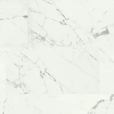 STATUARIO VENATO
