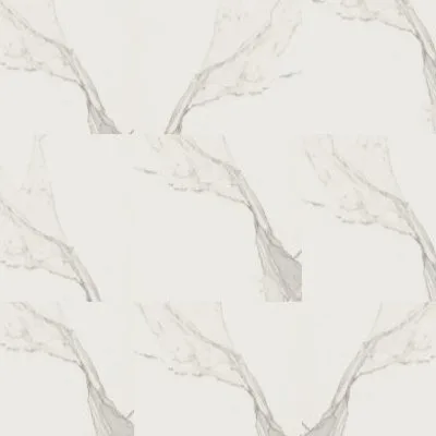 Calacatta