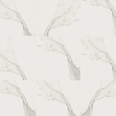 Calacatta