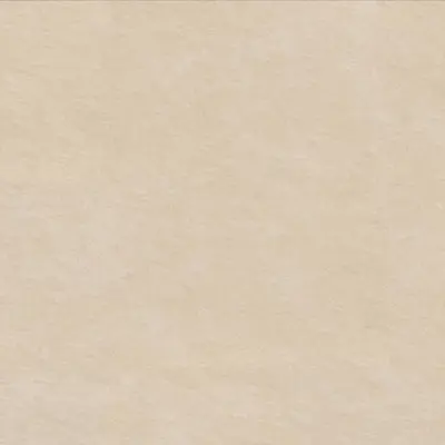 .CANVA.60X120 GRIP