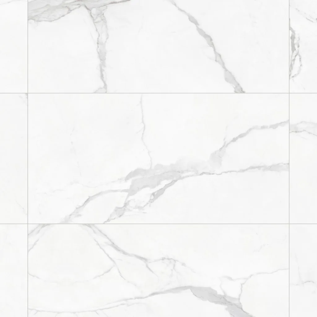 ANIMA WHITE MATE 60x120 SL RC