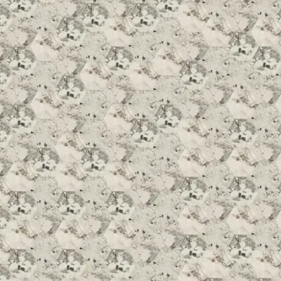 ANIMA WONDER GLACIER
