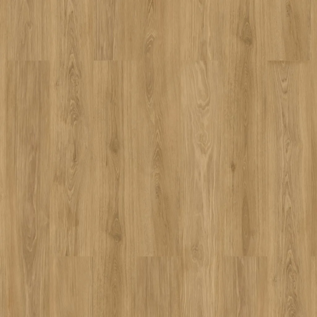 OUDH OU04 PINO