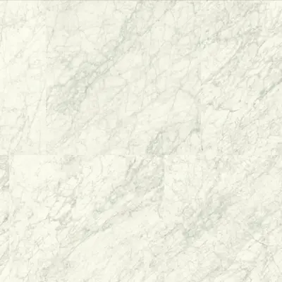 ANIMA EVER SUPREME WHITE