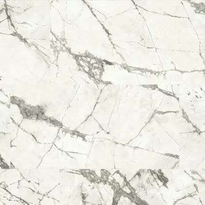 ANIMA EVER MAGNIFICENT WHITE