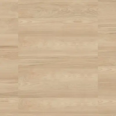 ULMUS CHEVRON