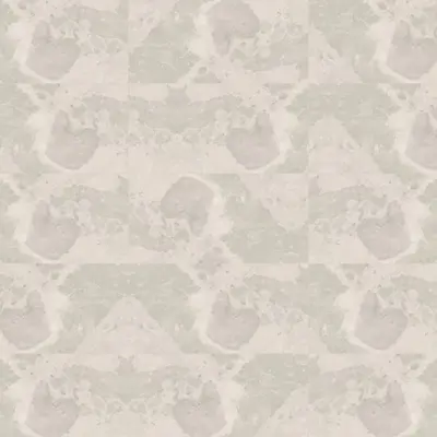 BS.PETAL 30X60 RT