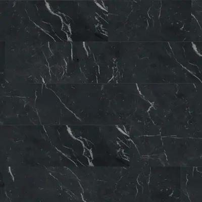 ANIMA FUTURA UNIQUE BLACK
