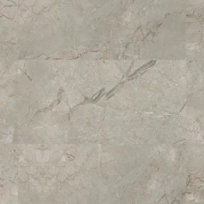 ELEMENTS LUX SILVER GREY 60x120 (24"x48")